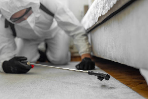 Professional Cockroach Control technician working in Massapequa Park, NY